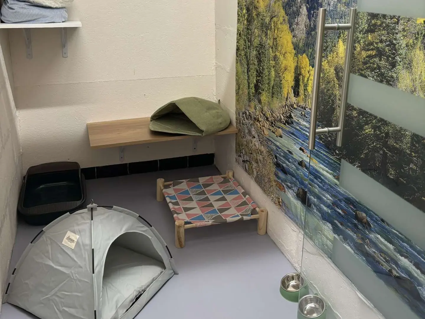 Chambre sur le thème du camping avec une tente pour chat, un banc en bois et un décor de nature.
