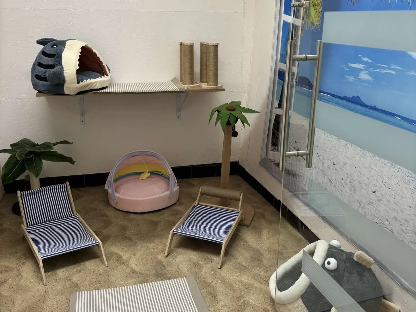 Pièce aménagée pour chats avec sol en sable, transats, arbre à chat, niche en forme de requin et fresque murale représentant une plage.