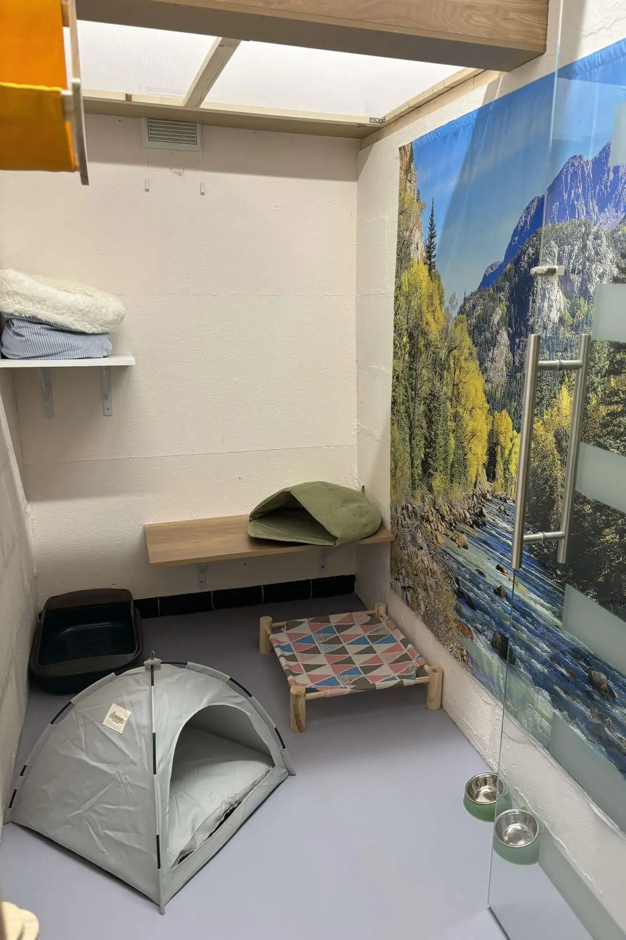 Chambre sur le thème du camping avec une tente pour chat, un banc en bois et un décor de nature